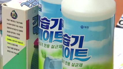 '가습기 메이트' 판매 애경산업 前 대표 구속...증거인멸 교사 / YTN