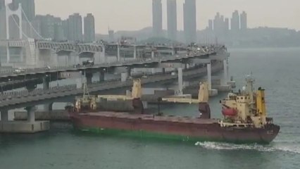 광안대교 충돌 화물선 선장 음주 확인 / YTN