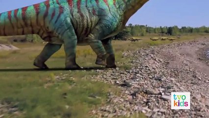 Dino Dana - Dino Kitty - fll eps