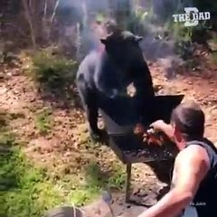 Mangala Ortak Olan Ayı