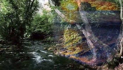 Sembrando Esperanza - Cesar Gómez - 23.02.2019