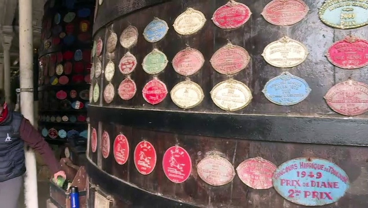 En France, la vente de chevaux de sport bat son plein