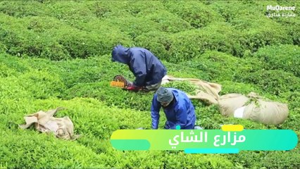 منطقة وشلالات آيدر تركيا 2019 : فيديو لافضل اماكن السياحه في ايدير التي يفضلها المسافرون العرب