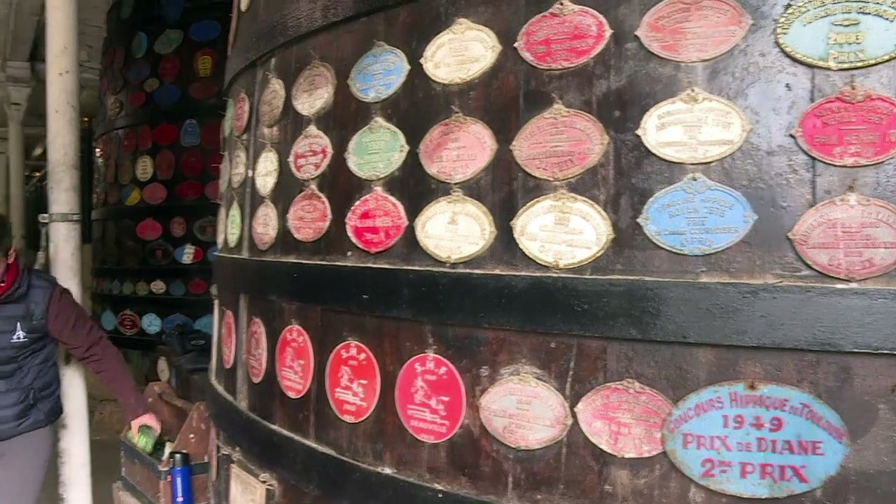 En France, la vente de chevaux de sport bat son plein