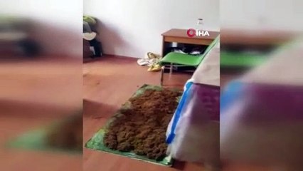 Edremit’te polisten kaçak sigara operasyonu: 1 gözaltı