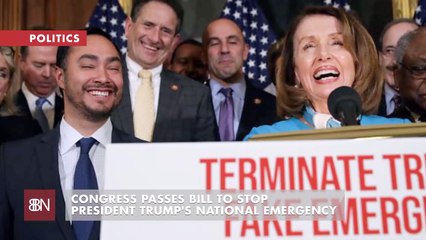 Congress Votes Against Trump On National Emergency