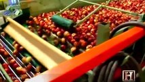 Advance Agricultural Technology - Mega Fruits Harvestors