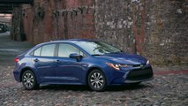 2020 Toyota Corolla Hybrid Exterior And Interior