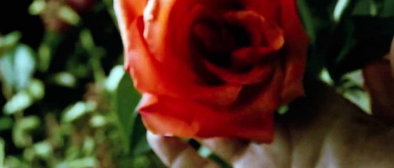 A Single Man Movie (2009) - Colin Firth