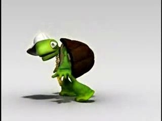 Tartaruga presenta: sexy lady