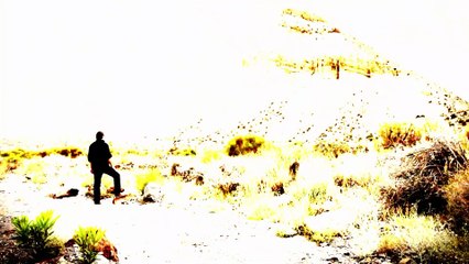 Сажаем кусты Бугенвиллея в горах Испании!