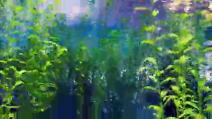 Trailer nueva pelicula pokemon 2019  Pokémon mewtwo strikes back evolution