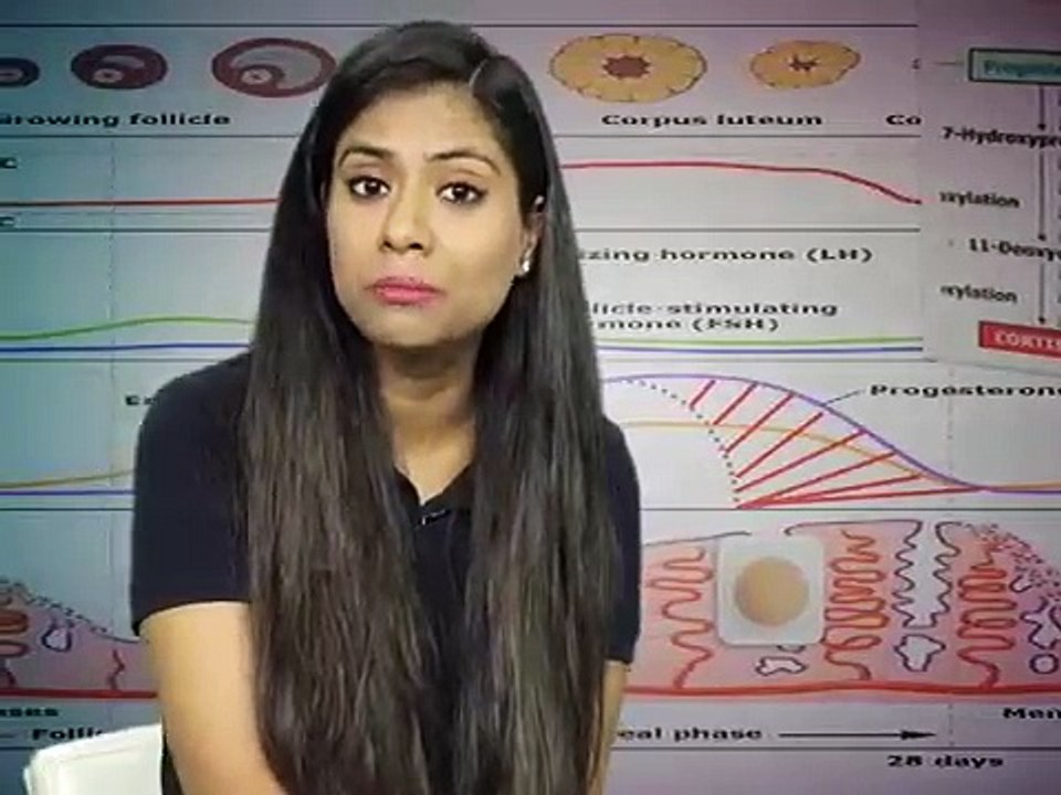 A brief explanation on Polycystic ovary syndrome : Symptoms, Causes, and Treatment