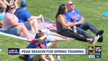 Spring Training fans basking in Arizona sun, avoiding cold back home