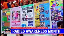Rabies Awareness Month