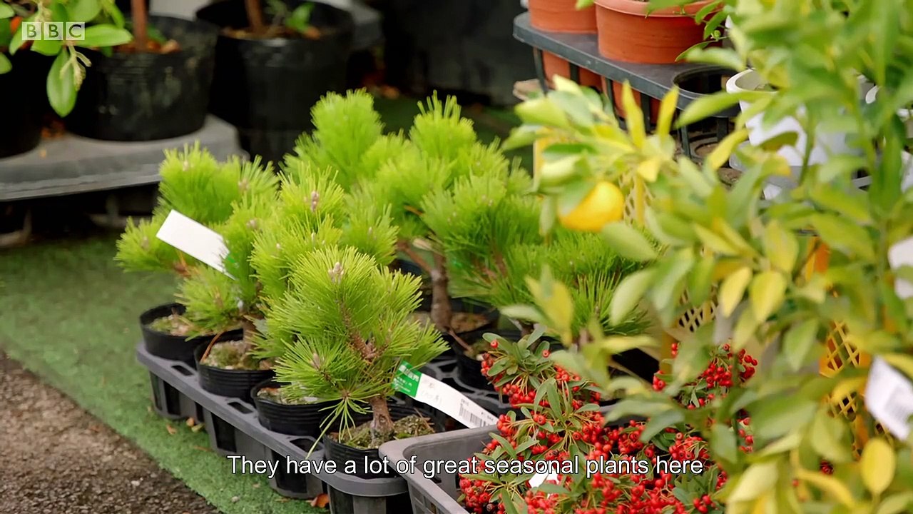 Monty Dons Japanese Gardens Episode 2 Video Dailymotion