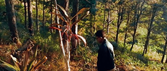 CHỈ CẦN MÌNH THƯƠNG NHAU - ANDIEZ - QUỐC THIỆN COVER (ẢO Band) - YAN News