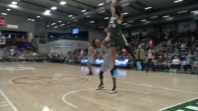 Christian Wood NBA G League Highlights: February 2019