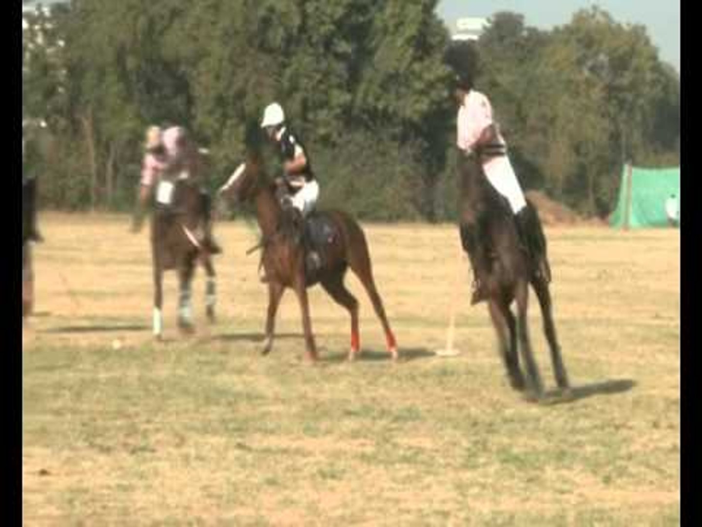 ⁣Polo to Promote Tourism