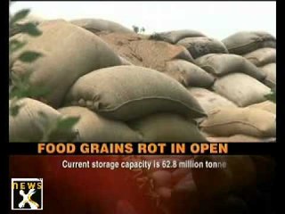 Food grains rotting in Punjab