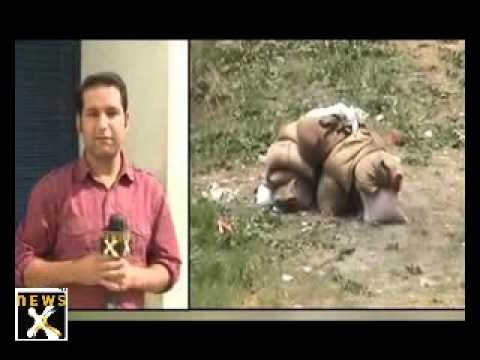 Major tragedy averted, bomb defused in Srinagar