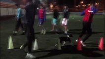 Isınması için içeri aldıkları sokak köpeği futbolcularla antrenman yaptı