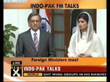 SM Krishna meets Pak foreign minister Hina Rabbani