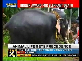 SC upholds compensation for elephant's death