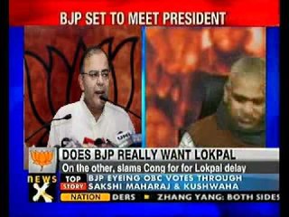 Lokpal bill row BJP to meet President Pratibha Patil