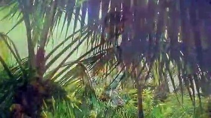 금산출장마사지 -후불100%ョØ1Ø-2703-7745【카톡VVV75】→#Z# 금산출장안마 금산출장샵 금산오피 금산출장전문업소 금산출장안마추천 금산콜걸 で금산출장맛사지