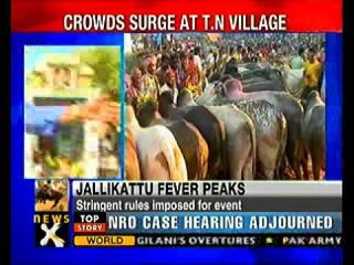 High Court allows 'Jallikattu' with conditions