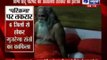 India News : Defiant VHP to go ahead with its Ayodhya Ram Mandir yatra