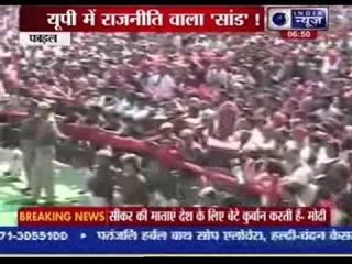 "M" war in Uttar Pradesh: Narendra Modi vs Mulayam Singh