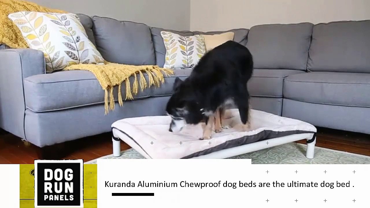 Kuranda Aluminium Raised Dog Beds