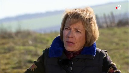 Une ancienne alcoolique témoigne de son addiction sur France 2 : "Je me suis effondrée ivre morte devant 650 cadres"