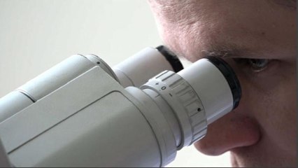 Gripe mata milhares na Europa