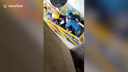 Incredible moment stranded dog is rescued from 165ft high concrete motorway pillar in Bangkok