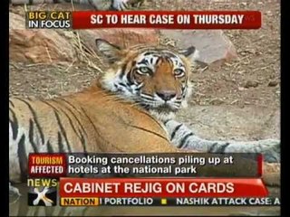 SC ban on tiger tourism to hinder hospitality industry - NewsX