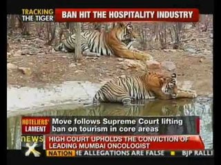 SC lifts ban on tiger tourism - NewsX
