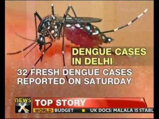 Dengue cases on rise in Delhi - NewsX
