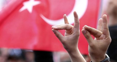 Avusturya'da Bozkurt İşareti Yasaklandı! Cezası 4 Bin Euro