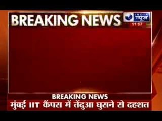 Mumbai: Leopard spotted at IIT Powai campus