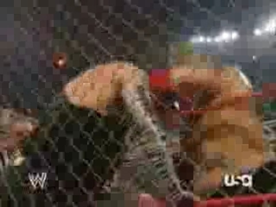 Jeff Hardy vs Umaga - Steel Cage