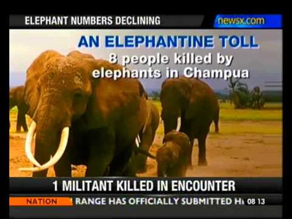 NewsX investigation: Mines endanger wildlife in Odisha - NewsX