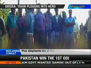 Odisha: Train ploughs into herd; 5 elephants killed - NewsX