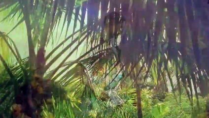 연기출장안마 {Ø1Øx2703x7745}【카톡VVV75】연기출장샵'예약'연기출장마사지 연기여대생출장 연기여고생출장 연기콜걸샵