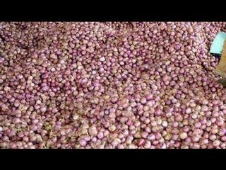 Onion price jumps 57pc, brings tears to common man