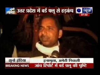 Bird flu alert in Uttar Pradesh after 350 birds die