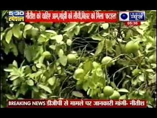 Bihar: Its Nitish Kumar vs Jitan Manjhi on Mangoes and Litchis