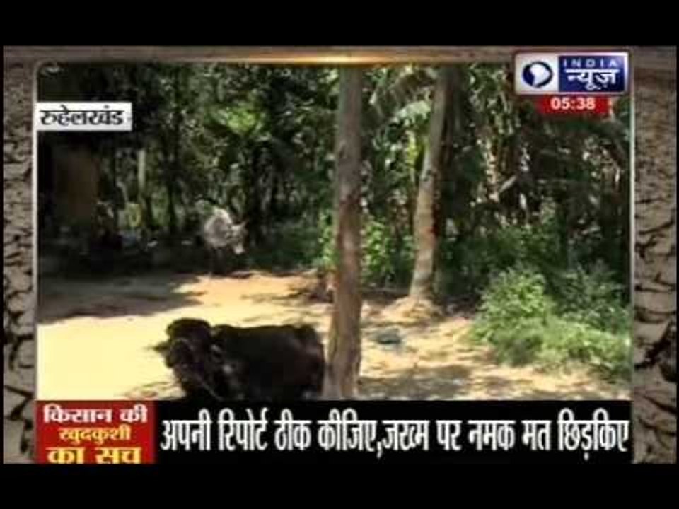 Why do Indian farmers commit suicide?